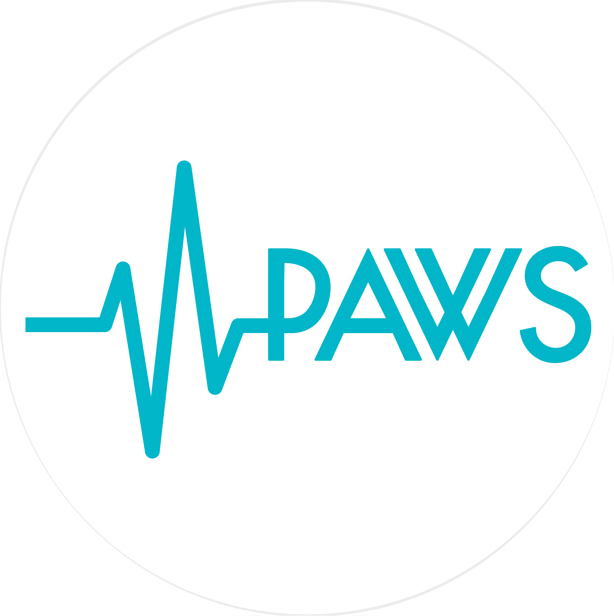 PAWS - PasIva Windows Webtjänst